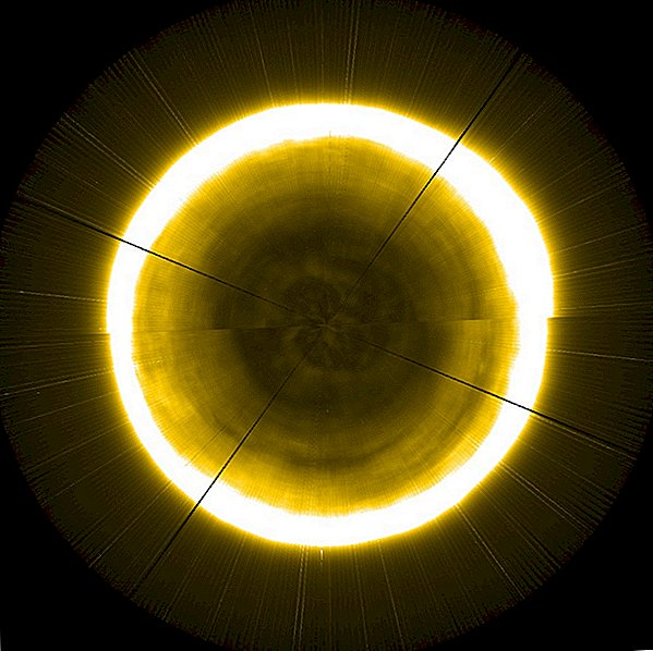Der turbulente Nordpol der Sonne sieht in diesem zusammengesetzten Bild wie ein gruseliger Wirbel aus