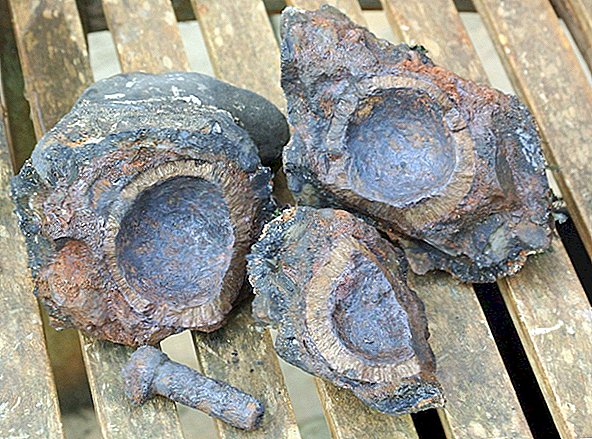 화약 포장 수류탄과 함께 발견 된 17 세기 '해적선'