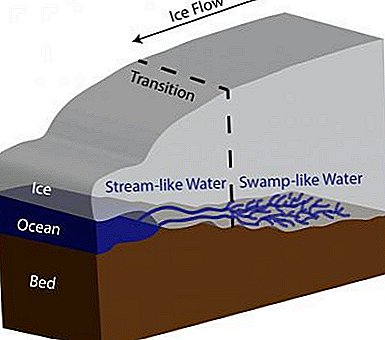 Az Antarktiszi gleccser alatt találtak mocsaras vízi utak