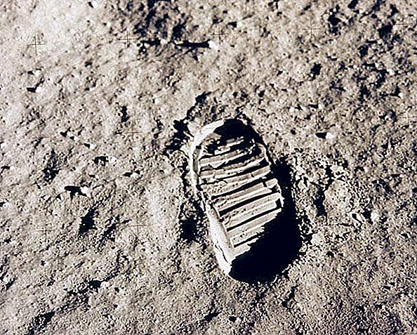 Tardigrades y caca: ¿Qué dice la ley espacial sobre el desorden lunar?