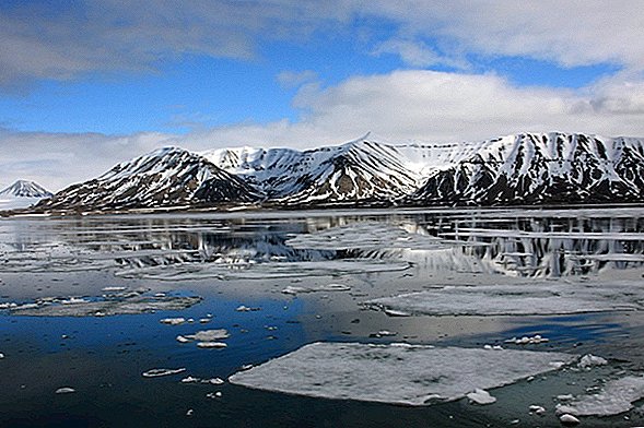 В Арктике есть «супербаговые» гены. Они определенно не должны быть там.