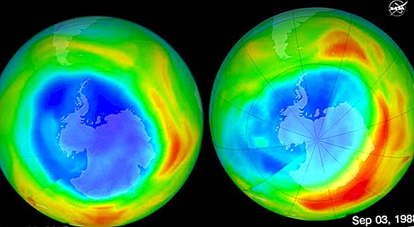 Nie ma dobrego wyjaśnienia, dlaczego powracają CFC rozdzierające warstwę ozonową