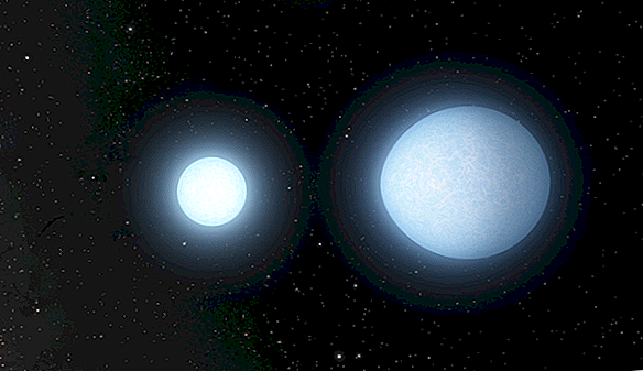 Dies sind die am schnellsten umlaufenden Sterne, die jemals entdeckt wurden, und sie winden sich in den Tod
