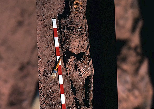 Šie skeleti no Senās Ēģiptes kapiem tika apreibināti ar vēzi