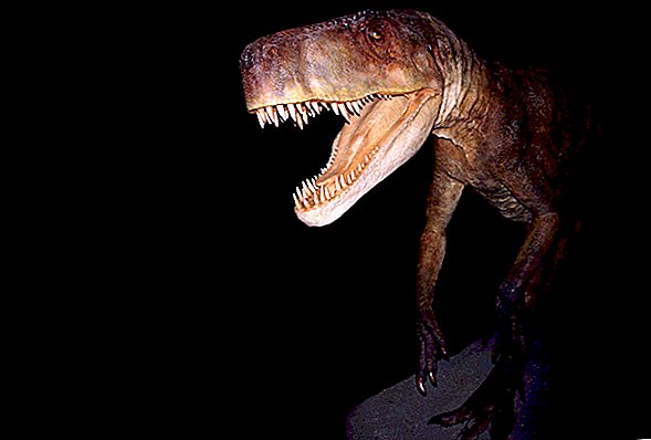 Acest „Dragon” în vârstă de 210 milioane de ani Bone (și dinții săi proprii) pentru micul dejun
