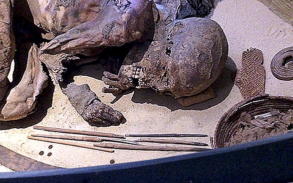 Esta antigua momia es mayor que los faraones