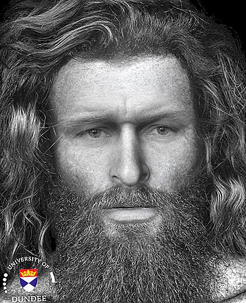 Tai gali būti „Pictish Chieftain“, kuris buvo žiauriai nužudytas prieš 1400 metų, veidas