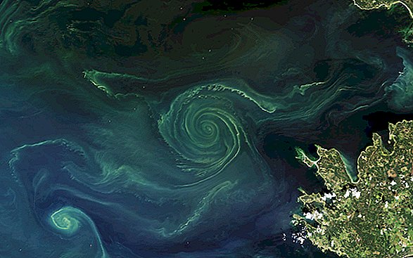 Ini Swirling Algal Bloom Mixes Kecantikan dan Bahaya