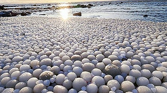 الآلاف من "بيض الثلج" الرائع يغسلون على الشاطئ الفنلندي