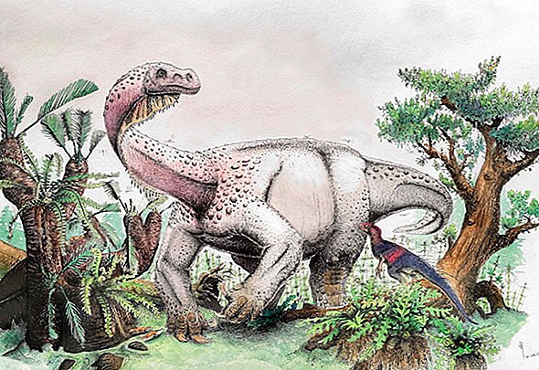„Griaustinis aušroje“ Dino visiškai metalinis vardas pagerbia kolosalų dydį