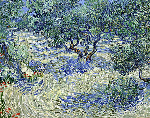 Kleine sprinkhaan gevonden verborgen in Van Gogh-schilderij, 128 jaar later