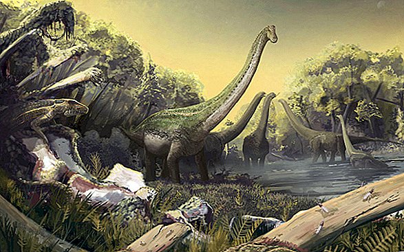 Titanosaur veľkosť kosatky, ktorá kedysi razila po celej Afrike