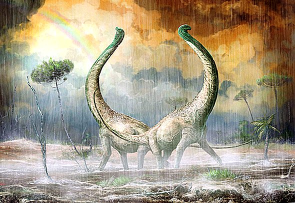 El titanosaurio del tamaño de un autobús escolar tenía huesos de cola en forma de corazón