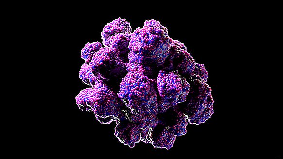 Sledi starodavnega virusa v naših genih lahko igrajo vlogo v odvisnosti