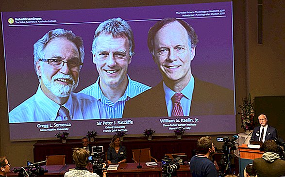 Trio získalo Nobelovu cenu za medicínu za vymezení „jednoho z nejdůležitějších adaptačních procesů života“