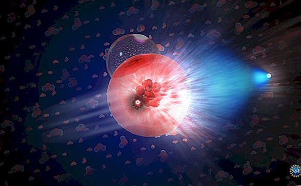 Le «vrai» neutrino a été caché aux physiciens pendant des décennies. Pourraient-ils le trouver en Antarctique?