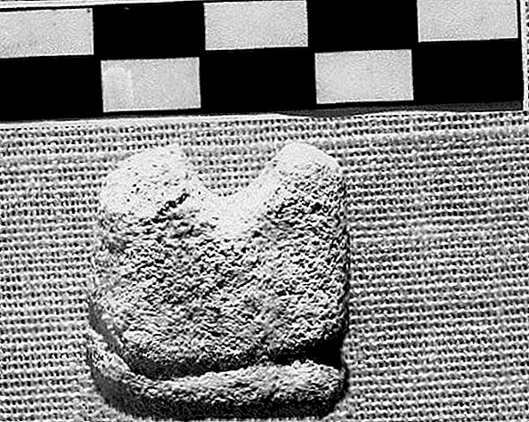 'Rook' de dos cuernos podría ser la pieza de ajedrez más antigua de la Tierra