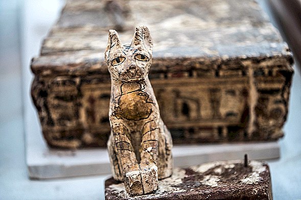 Divas Lion Cub mūmijas, kas pirmo reizi atklātas Ēģiptē