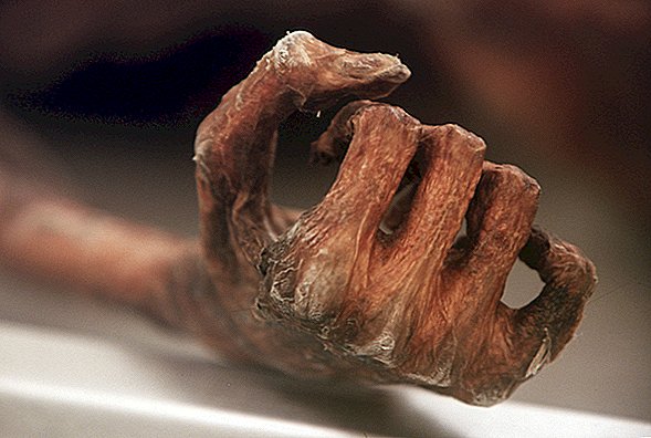 Le malheureux dernier voyage d'Ötzi l'Iceman peut-être découvert