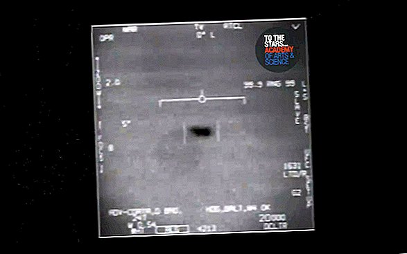 UFO's zijn echt - en u mocht ze nooit zien, zegt de militaire ambtenaar