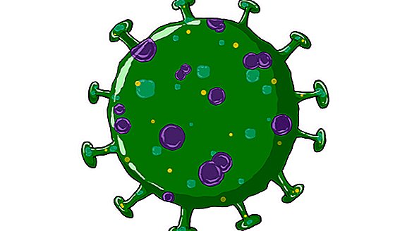 Den ultimative børneguide til den nye coronavirus
