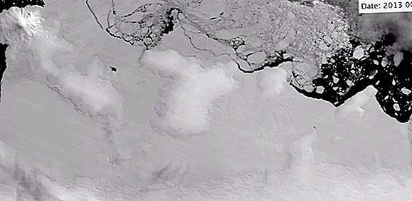 'Upside-Down Rivers' ของน้ำอุ่นกำลังแกะแอนตาร์กติกาออกเป็นชิ้น ๆ