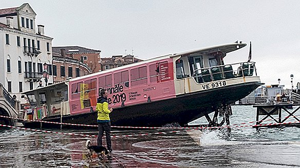 Venecija patiria blogiausią potvynį per 50 metų, meras kaltina klimato pokyčius