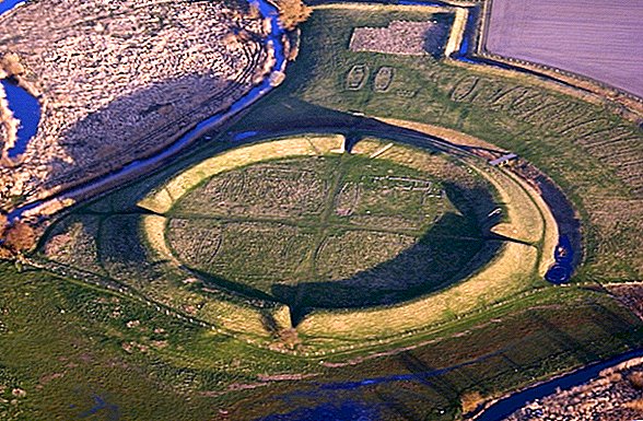 Benteng Viking Mengungkap Rahasia Jaringan Militer Elang Raja Denmark