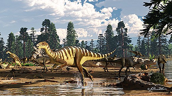 Динозавър с размери на влак, открит в Австралия (Crikey!)