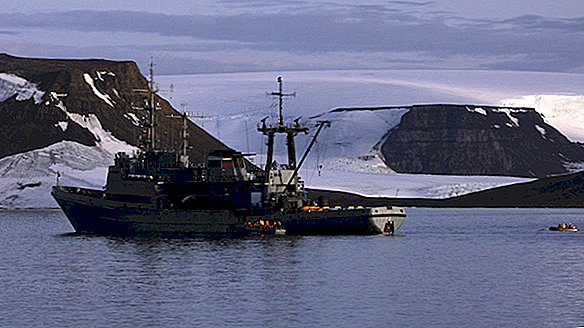 Walross greift an und versenkt das Boot der russischen Marine