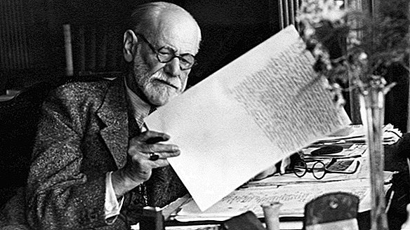 ¿Freud tenía razón sobre algo?
