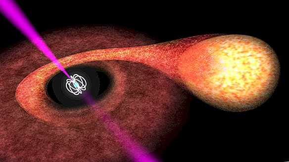 Nous pouvons enfin savoir d'où viennent les pulsars vicieux 'Black Widow'