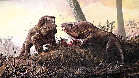 Weird Triassic 'Dragons' hadden enorme hoofden. Dit is waarom.