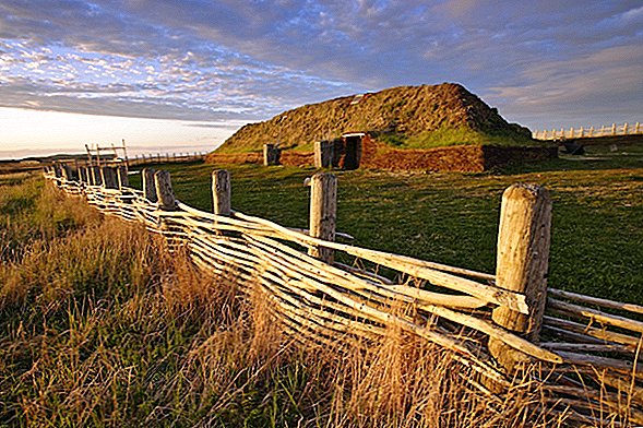 Vikingler Newfoundland'ı keşfederken sigara içiyor muydu?