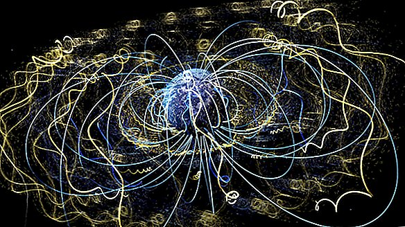 ¿Qué pasa si el campo magnético de la Tierra desapareció?
