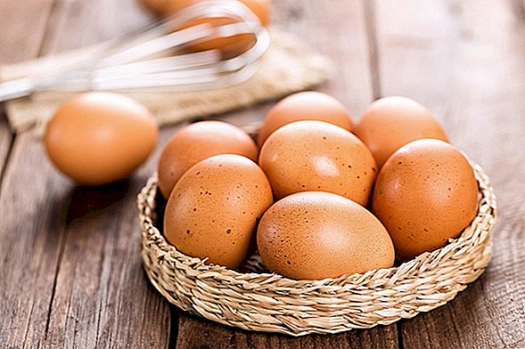 Apa Kajian Telur Baru untuk Makanan Sarapan Tercinta
