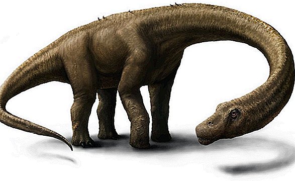 Care este cel mai mare dinozaur din lume?