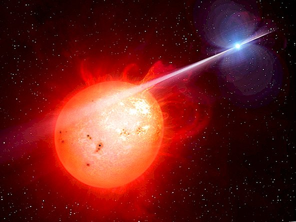 Warum verhalten sich zwei Sterne in unserer Galaxie plötzlich sehr seltsam?
