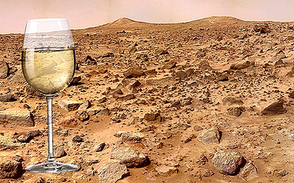 Vin på Mars? Verdens ældste land med vinfremstilling ønsker at få det til at ske