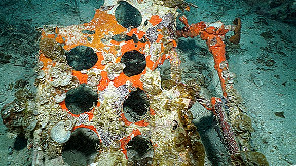 Puing-puing pesawat WWII Amerika yang hilang akhirnya ditemukan, di laguna Pasifik