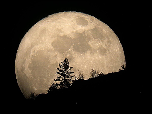 Nisan'ın Süper Pembe Ayı, 2020'nin en büyük dolunayı.
