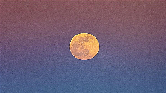 ירח מלא ו 'חגורת ונוס' זוהרים מעל ליסבון במהלך ליקוי חמה ראשון של 2020 (תמונה)