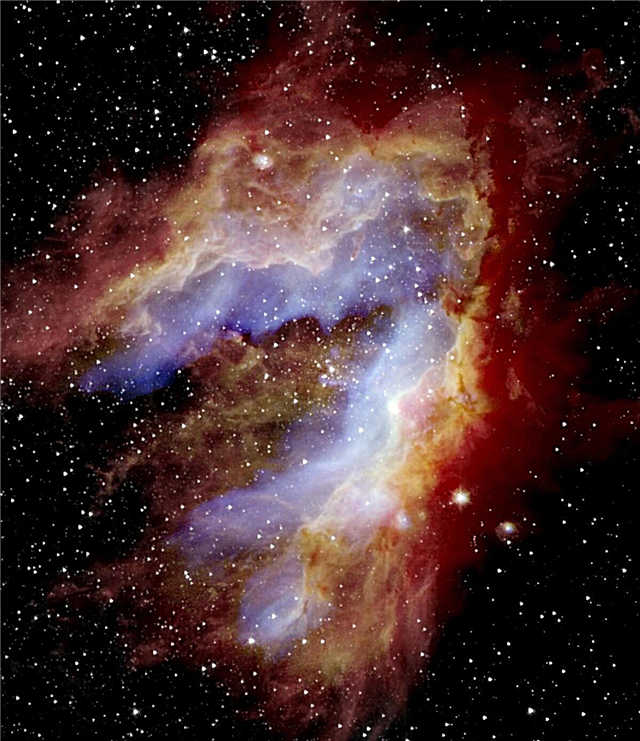 Labuda meglica "tovarna zvezd" razkriva protostar zaklad NASA-ino letečega teleskopa