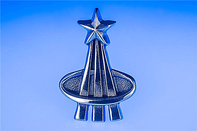إنجاز 'Pin-nacle: القصة وراء دبوس رائد الفضاء لناسا
