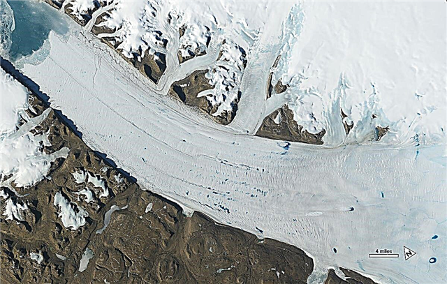 Palydovai rodo ledynus, sparčiai traukiančius nuo klimato kaitos