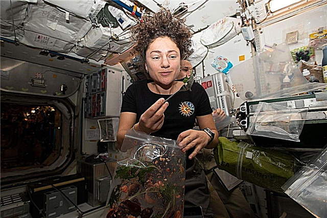 Astronautai mėgaujasi kosminėmis daržovėmis ir žvelgia į kosminių salotų ateitį