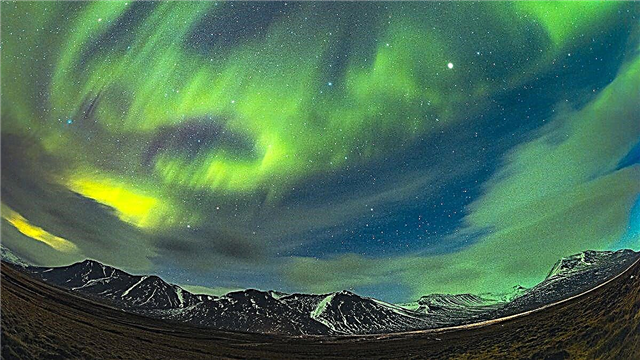 Aurora verde brilhante pássaro voa com um coelho correndo sobre a Islândia (foto)