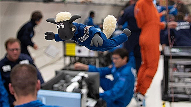 'Shaun the Sheep' pabeidz zinātniskās filmas astronautu apmācību