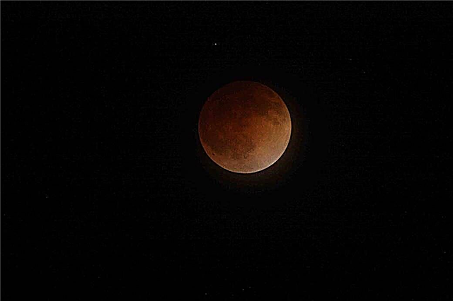 Slooh와 함께하는 2019 Live의 'Half Blood'Lunar Eclipse를 참조하십시오.