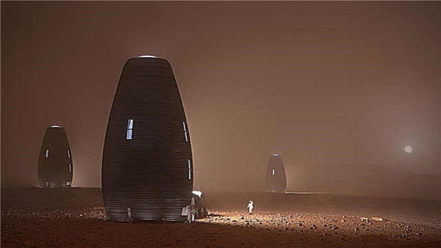 NASA의 3D 인쇄 화성 서식지 도전의 우승자입니다.